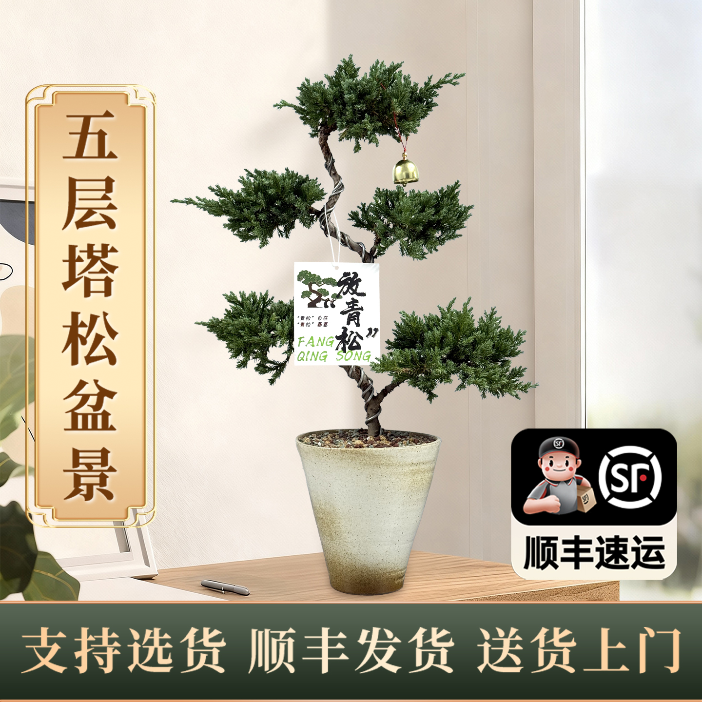 五层塔松盆栽乔迁送礼好养