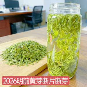 2026新茶明前头采特级嫩芽黄芽断片断芽茶汤清亮浓香型春茶250克