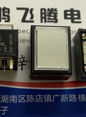 LP1W-26S-509-Z 方形带灯按钮开关10脚 白色盖子发绿色光 19*15mm