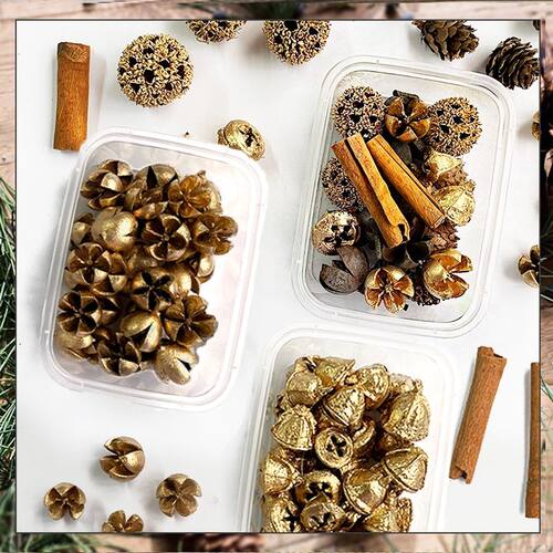 天然干果 肉桂松果 干花永生花diy材料包花盒香薰diy摆件装饰