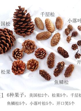干花环装饰松果森林拍照道具幼儿园认知教学教具手工diy制作材料