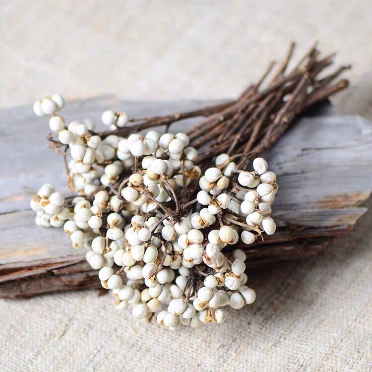 天然小白果乌桕果干花diy手作花环搭配花材白色小清新装饰100克装