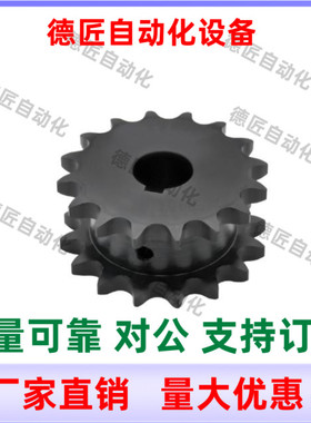 SP50SD17 18 19 20 21-N-25 28 30 35 40 双排链轮