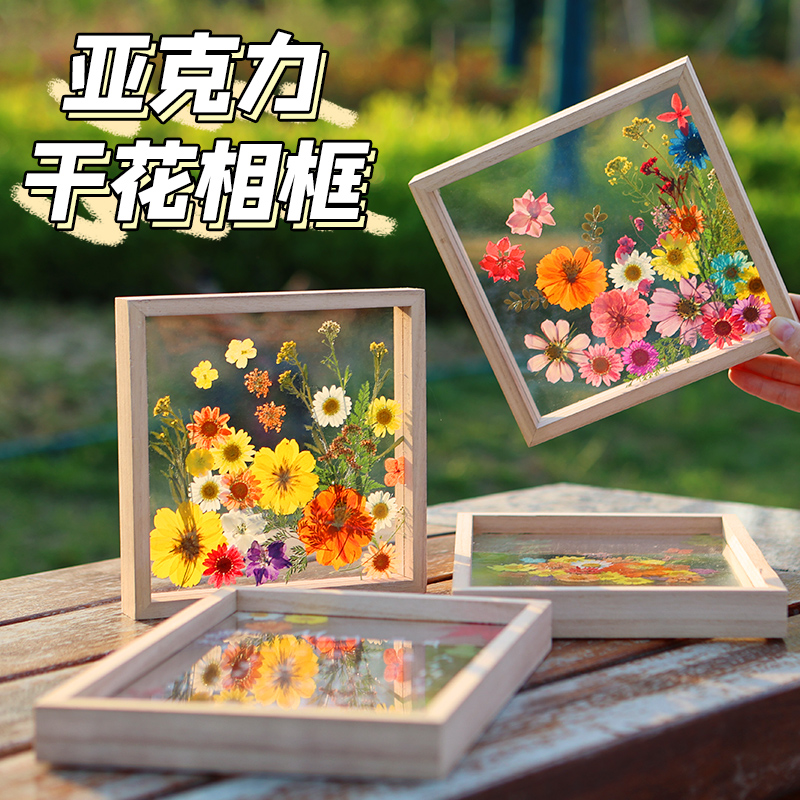 标本制作材料包干花相框diy手工