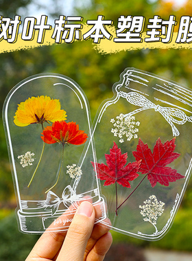 枫叶树叶标本粘贴画天然干花diy材料植物压花真花银杏叶子落叶画