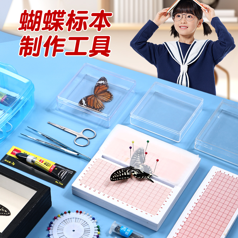 蝴蝶标本制作工具昆虫材料套装