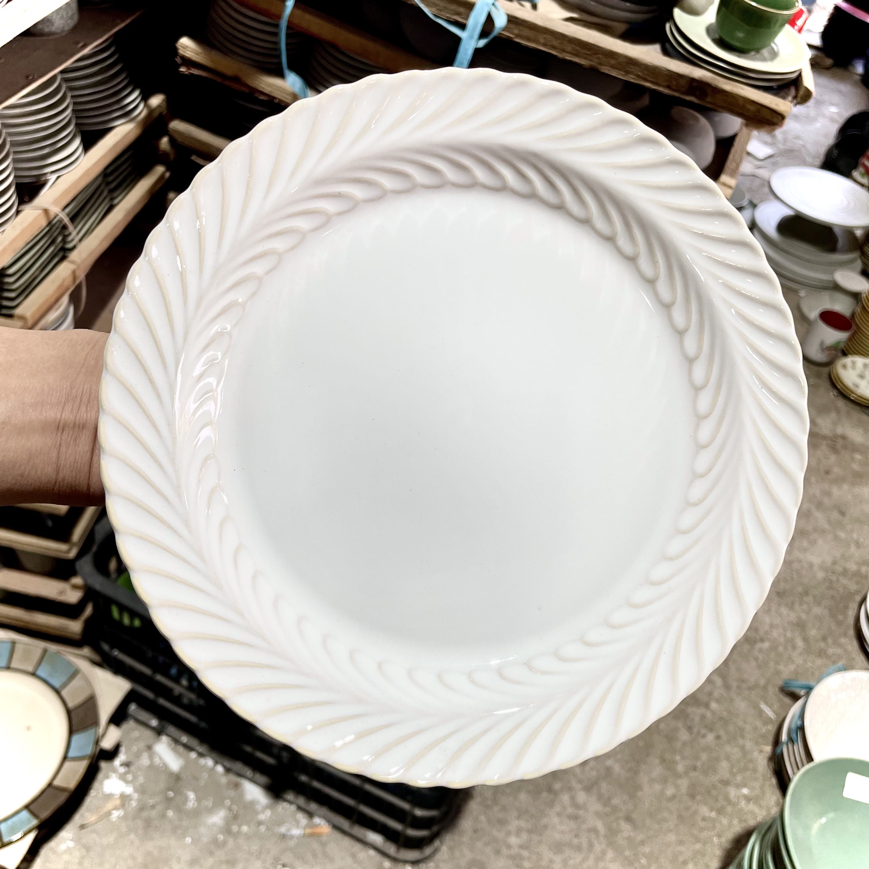 赫本白色浮雕麦穗浅草帽平盘8英寸微瑕牛排菜盘子（全场2件包邮）