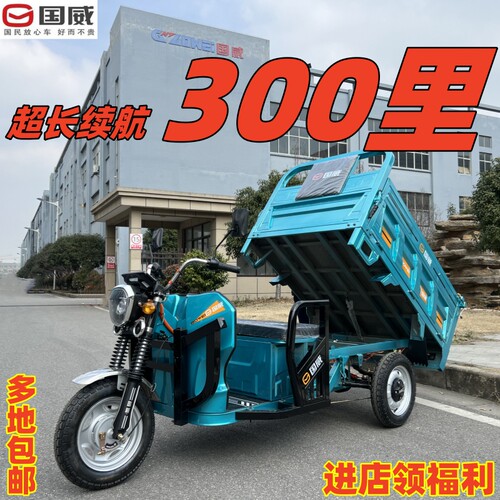 国威电动三轮车拉货爬坡载重王货车摆摊农用家用货运电瓶车快递车