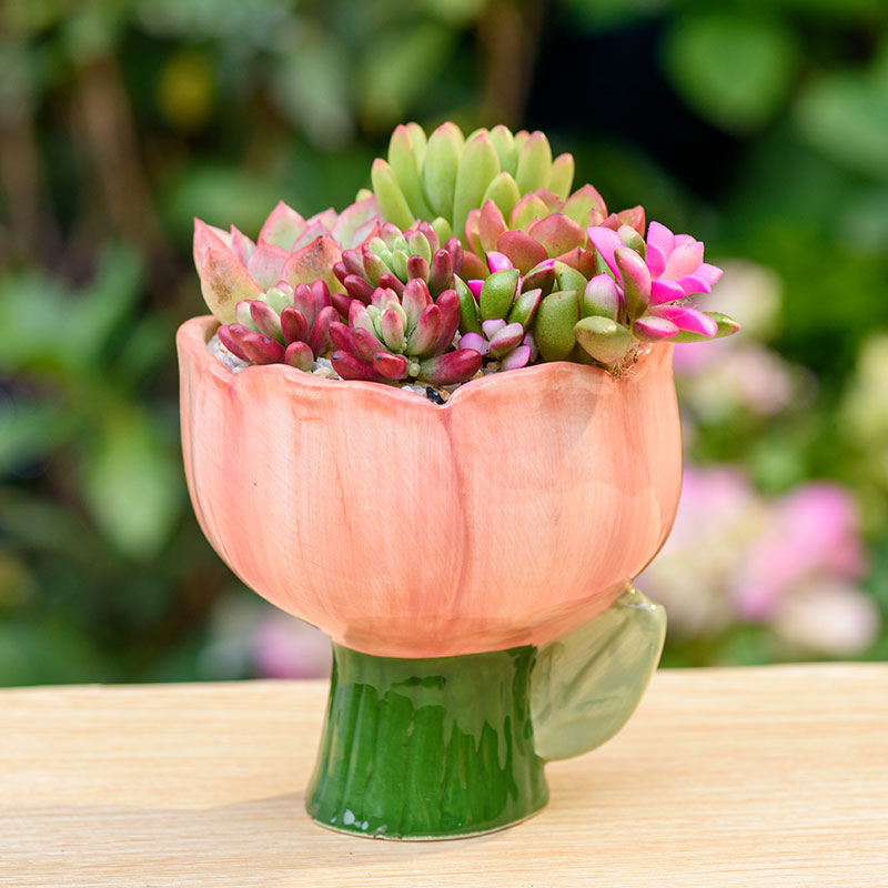 创意ins风花朵陶瓷多肉植物花盆可爱唯美陶艺肉肉盆栽小花笔筒