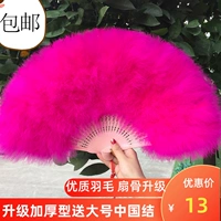 Feather Fan Fend Spish Full Velvet Tulgened Feather Fan Standard Fan Fan Cheongsam Show Stage Performance Fan Dance Fan 50*30