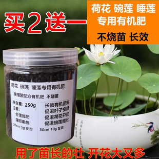 荷花肥料莲花睡莲碗莲莲藕专用水养盆栽水土培通用营养液鱼莲