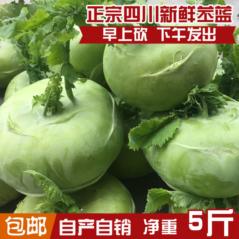 四川蔬菜优质新鲜脆嫩苤蓝大头菜
