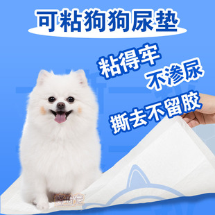 宠物狗狗固定可粘贴撒尿垫尿片加厚除臭吸水诱导训导一次性带背胶