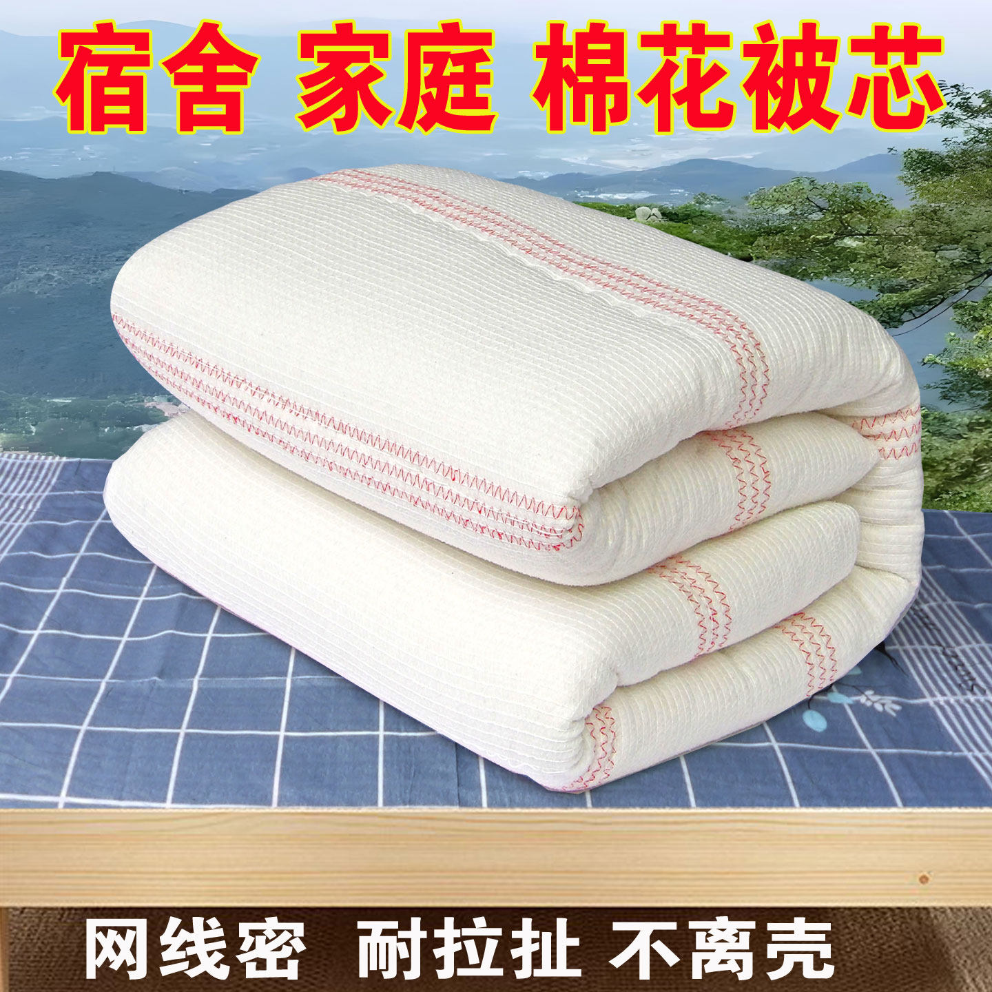 棉絮棉被学生宿舍床垫被单人棉花被子被芯春秋冬被加厚保暖被褥子,床上用品,棉花被,淘宝优惠券,粉丝福利购,淘宝优惠卷