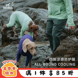 Blackdoggy凉凉衣狗狗户外夏季凉感四脚衣宠物主人防晒衣亲子装