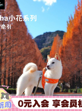 hakusan胸背 日本白山马鞍型宠物0零压力中大小型犬狗狗绳子牵引