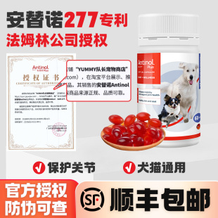 新西兰安它诺277软骨素Antinol安替诺胶囊猫狗524保护关节安适得