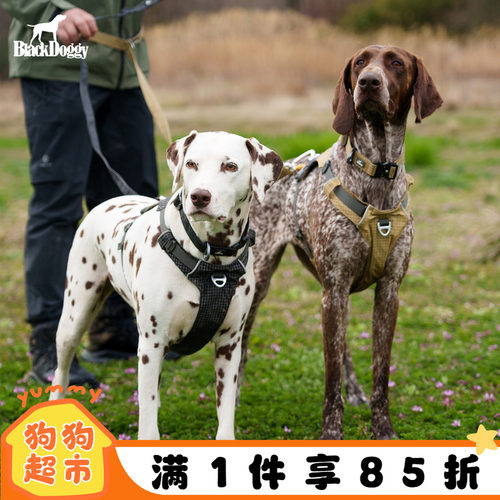 Blackdoggy26年春季项圈遛狗绳胸背防水防潮狗狗外出牵引宠物用品
