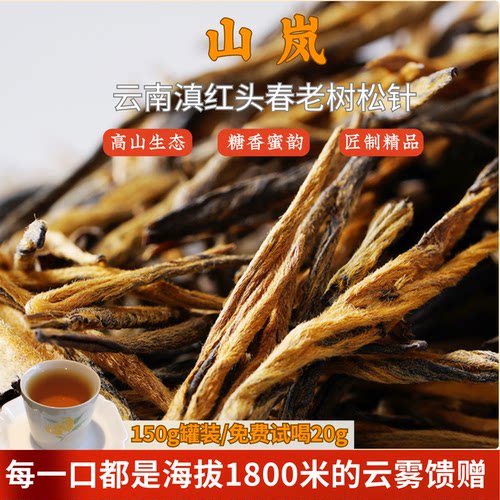 头春特级滇红茶古树松针蜜香凤庆