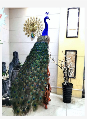 仿真羽毛绿白拖尾孔雀婚纱模型摆件婚庆摄影影视道具假孔雀装饰品