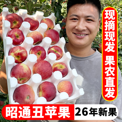 果农直发】26年云南昭通红露苹果