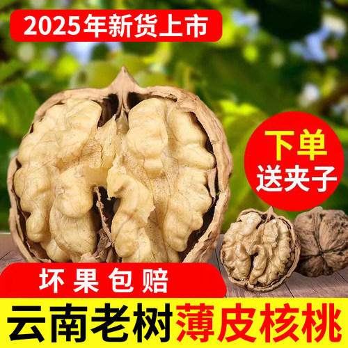 2025新货薄皮纸皮漾濞云南新鲜