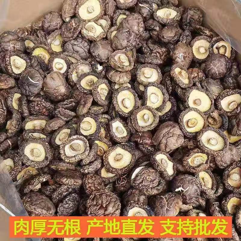 五斤香菇干货无干燥剂散装2500g