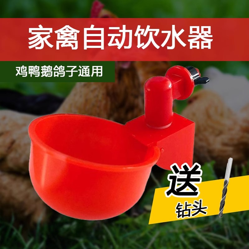 养鸡用自动饮水器鸡鸭鹅饮水碗鸽子鹌鹑家禽养殖专用鸟小鸡喂水碗