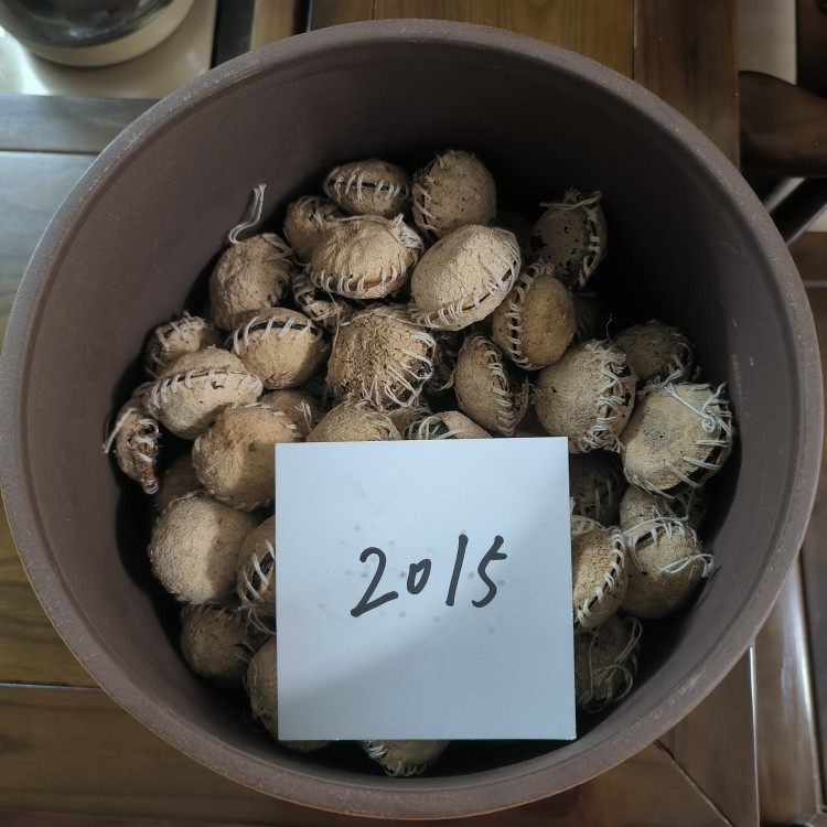 清远蒲坑茶干仓储存7年桔子茶正品正宗蒲坑茶浦坑茶高山茶土特产