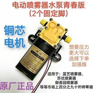 全新正品12v电动喷雾器水泵大功率高压泵虎跃7.0虎跃5500原厂配件
