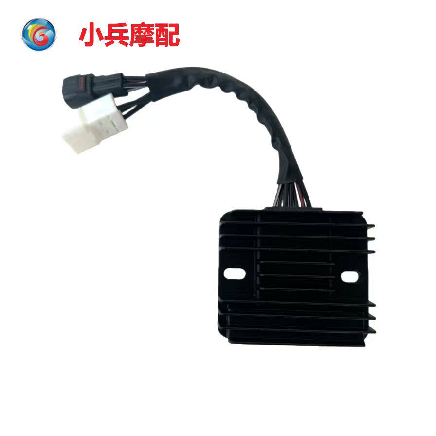 适用铃木骊驰GW250开关式整流器GW250F充电器