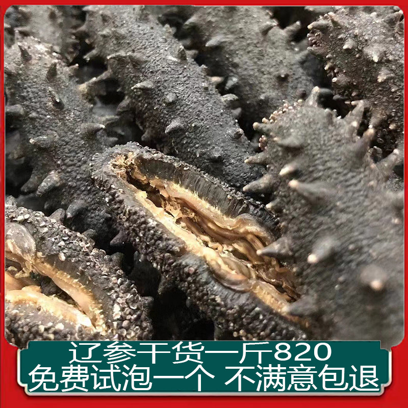 9年大连野生海参一斤500g干海参