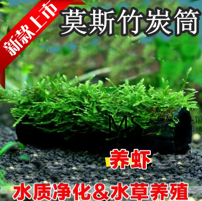 大三角莫丝莫斯水草鱼窝水晶虾屋虾窝优质无节竹炭筒水族箱鱼缸