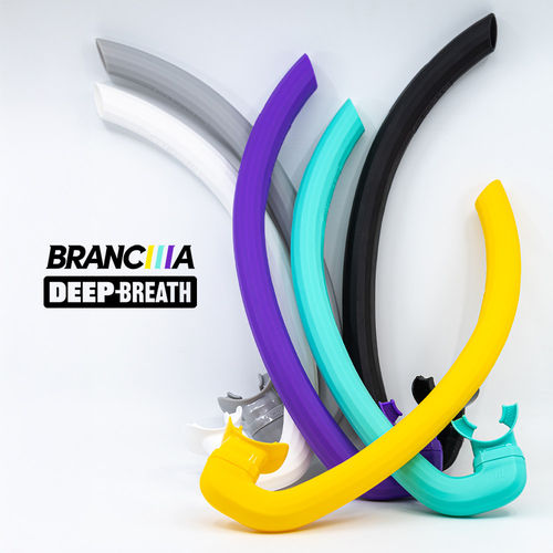 BRANCIIIA 韩国 正浮力自由潜水呼吸管 彩色可折叠软管含备用咬嘴