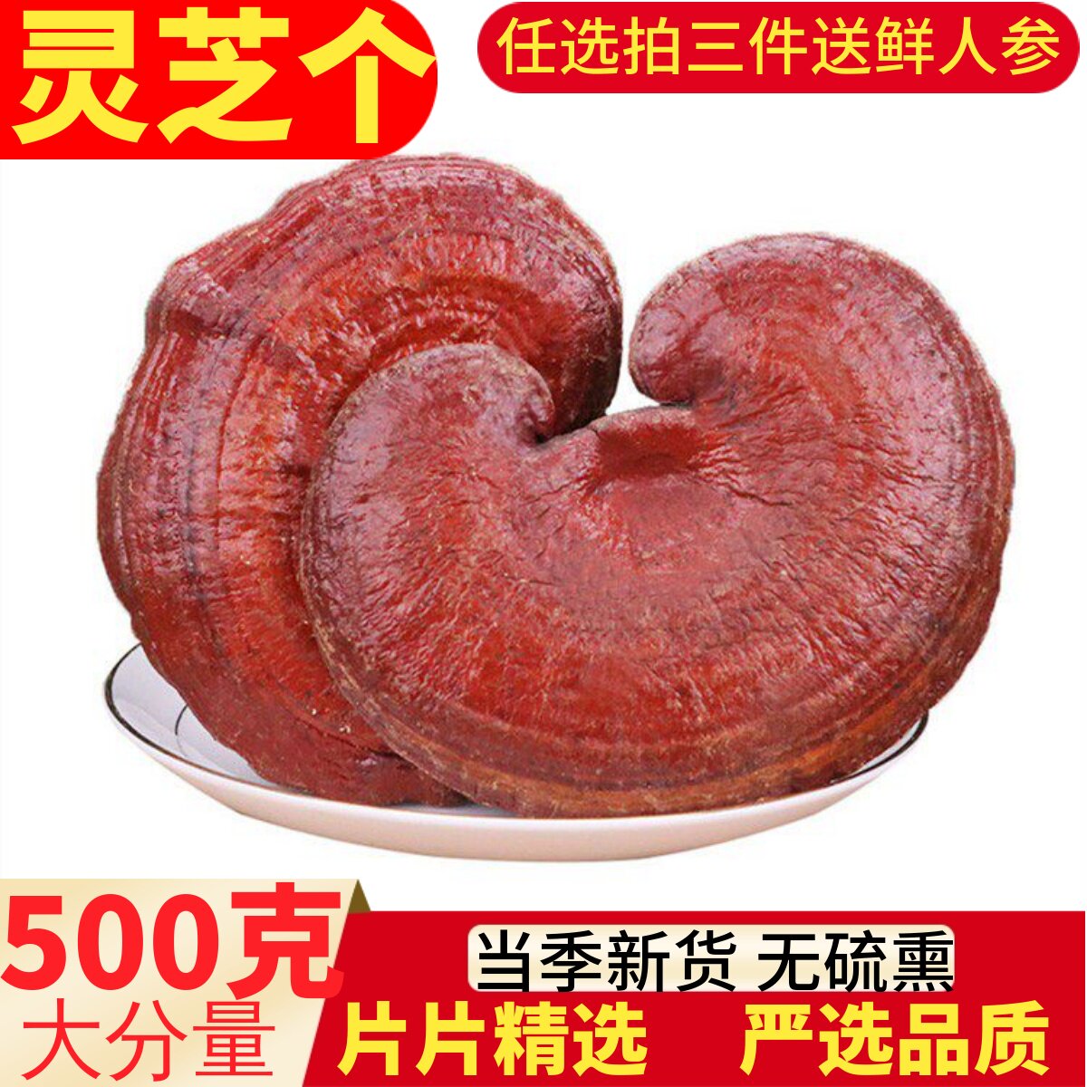 长白山正品灵芝野生干货整枝赤灵芝整朵林芝泡酒茶煲汤专用可切片