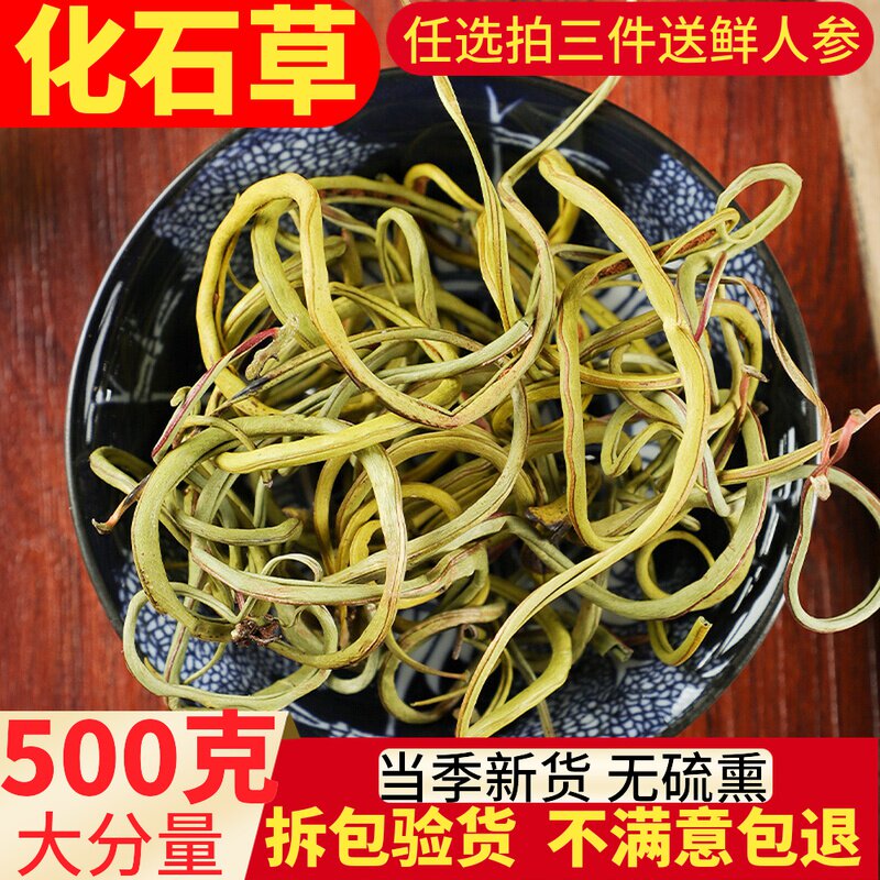 肾精茶东北长白山肾精草肾经草野生化石草黄金草嗷嗷叫养生石韦草