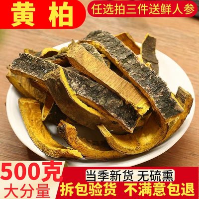 黄柏中药材500g 川黄柏片 关黄柏树皮泡茶 檗木皮 黄柏粉另售苦参