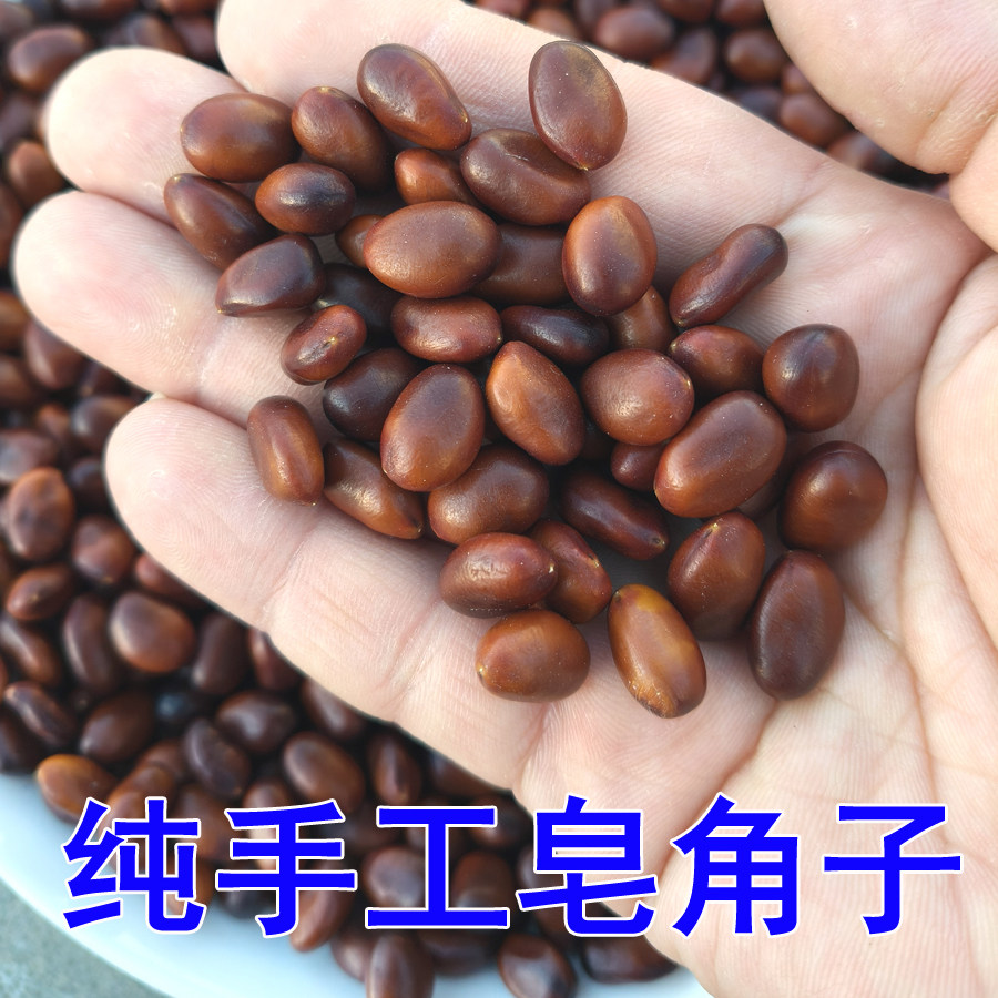 皂角子100克 皂角籽皂荚种子中药材 野生大皂角种子 当季新货无硫