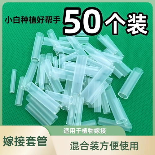 新手免拆果树嫁接50个套管