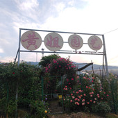 直播福利秒杀 抢购链接