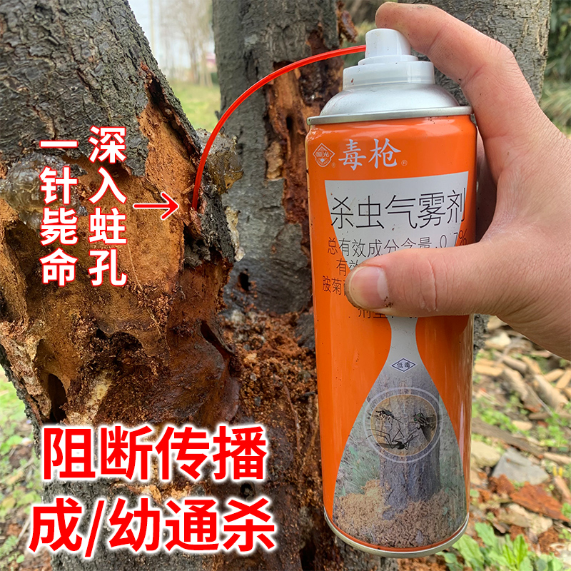 国光毒枪天牛克星树洞虫立毙幼虫无花果桃树钻心虫蛀杆害虫杀虫剂-封面