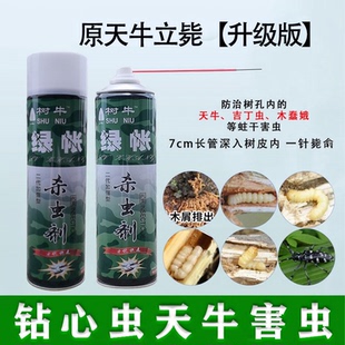 绿帐天牛立毙无花果蛀虫杀虫气剂雾钻心虫药蛤虫桃树桉小蠹虫果树