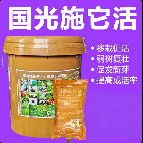 国光施它活营养液大树输液