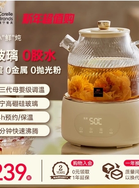 康宁养生壶全玻璃家用小型多功能公室新款煮茶器烧水花茶壶鲜炖