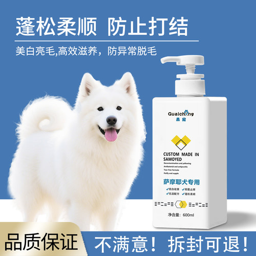 萨摩耶宠物洗澡沐浴露持久留香