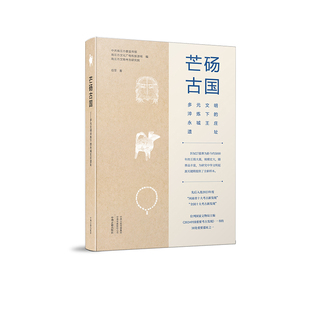快递已停，预计2月28日恢复日芒砀古国——多元文明淬炼下的永城王庄遗址