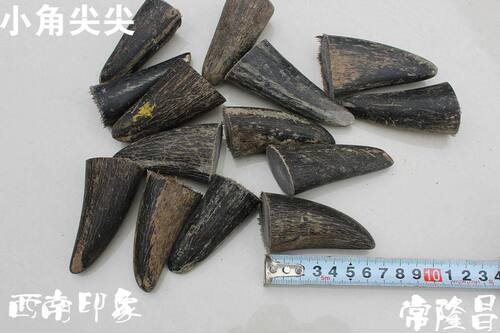 牛角原料天然黑水牛角尖原料实心牛雕刻佛珠 diy文玩手把件料