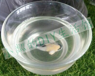 大地软陶高韧性半透明软陶泥/多肉软陶土 超透液体软陶岁末清仓