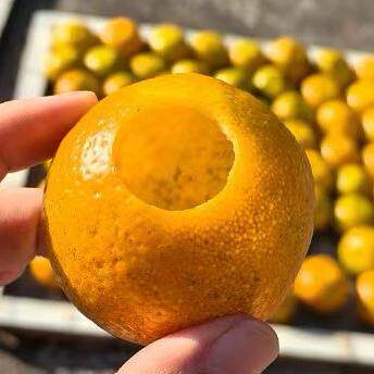 鲜果篮(预定与速递)