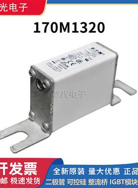 低压熔断器 170M1308/1310/1312/1315/1316/1318/1320/1322